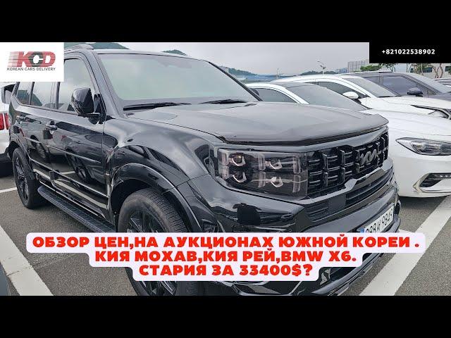 Авто из Кореи. Обзор цен на аукционах. Hyundai Staria 4wd. Kia Mohave. BMW X6 xDrive 40i. Kia Ray