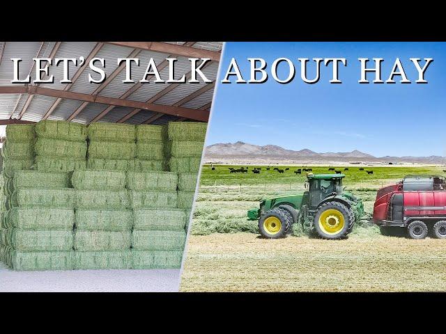 Harvesting hay to feed our cattle. What makes for high quality alfalfa hay.