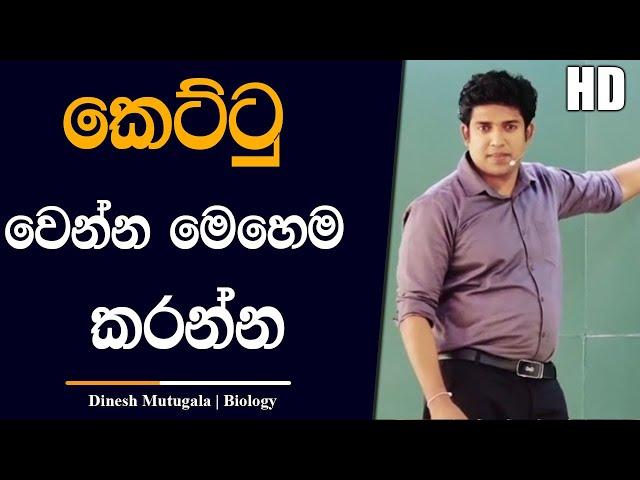 කෙට්ටු වෙන්න ඕනෙනම් මොකක්ද කරන්නෙ | Dinesh Muthugala | #dineshmuthugala