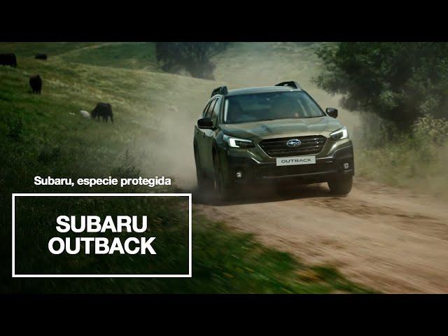 Subaru Outback – Subaru, Especie Protegida