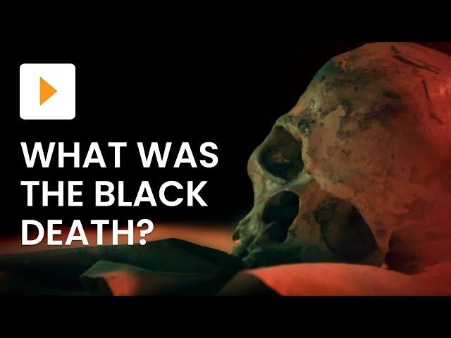 What Was The Black Death?