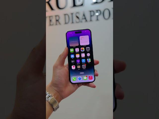 Iphone 14 pro max | Deep purple beauty and beast