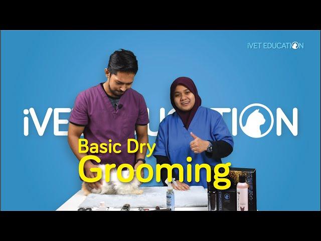 iVET EDUCATION [Basic Dry Grooming] by Dr. Ku Atiqah & Aiman