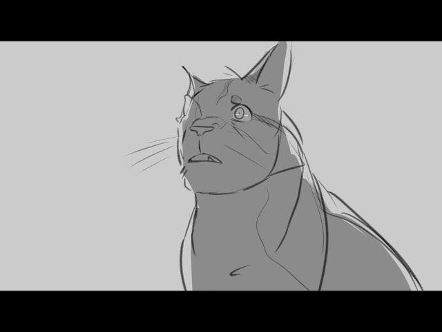 The Accident | Brightheart PMV