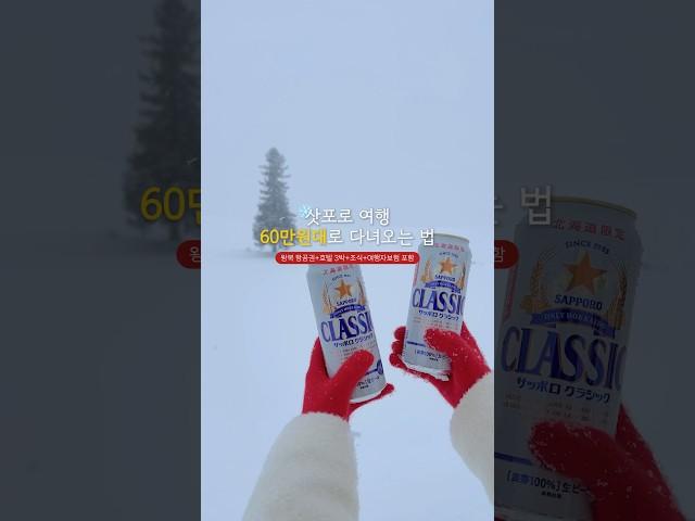 겨울 삿포로 여행 60만원대로 다녀오는 방법 #sapporo #삿포로여행 #삿포로
