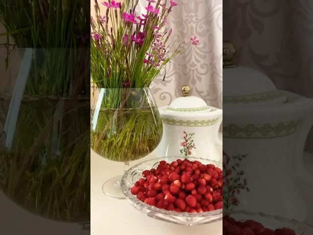Земляника заколосилась #shors #природа #юмор #лето