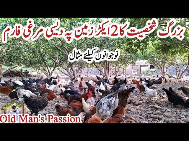 Free Range Poultry Farming in Pakistan | Desi Hen Farming | Dr. ARSHAD