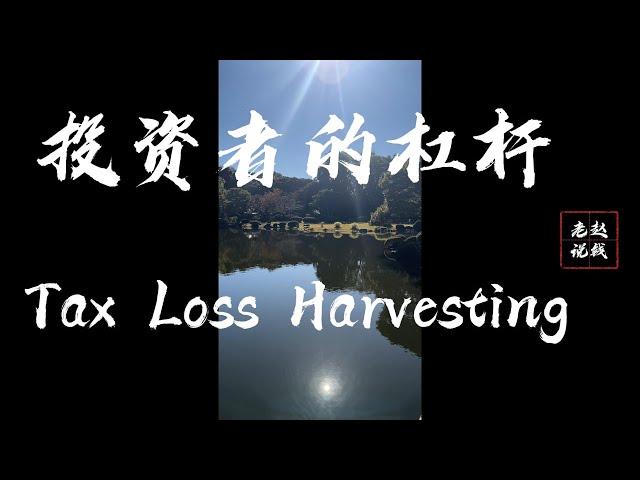 投资者的杠杆 tax loss harvesting | 税务损失收获 | 省税策略 | 减税方法