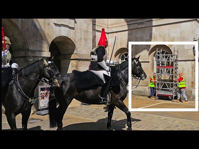 RUNAWAY HCAV HORSES PART 2!? NOISY WORKMEN ARE SHUT DOWN BY THE CoH at Horse Guards!