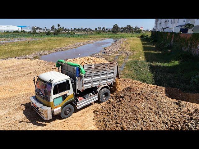 Ep3 Wonderful show Processing Dump Trucks Filling land With D31P KOMATSU Dozer Push to fill the soil