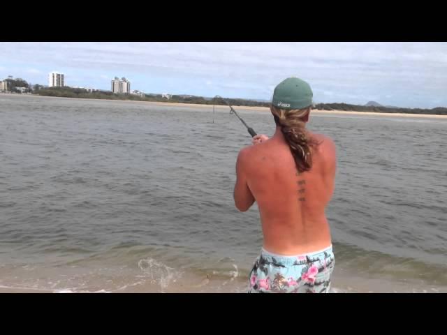 Fishing Cotton Tree