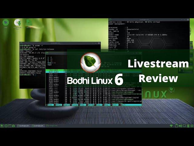 Bodhi Linux 6.0 livestream Distro Review