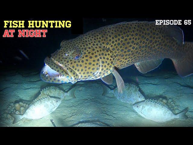 NIGHT SPEARFISHING EPISODE 65 | FISH HUNTING AT NIGHT