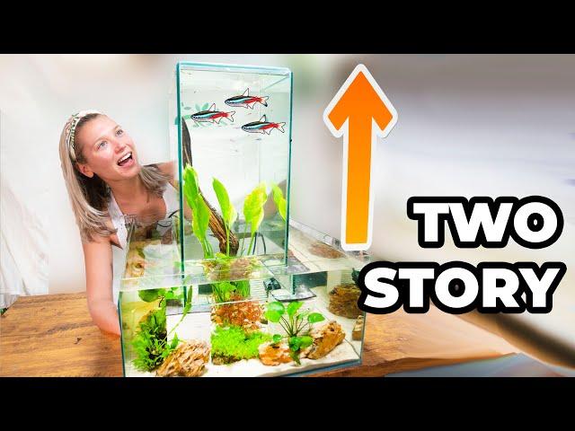 How To Make A Multi Level FISH PENTHOUSE