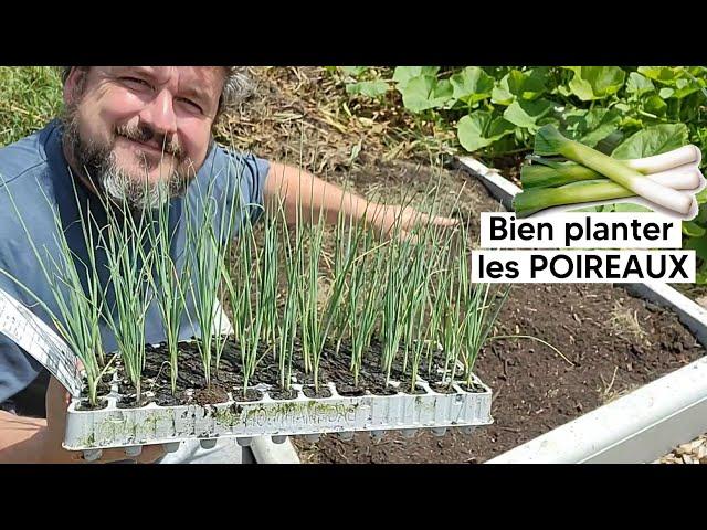 Comment bien planter les POIREAUX (puis réussir leur culture)『TUTO』