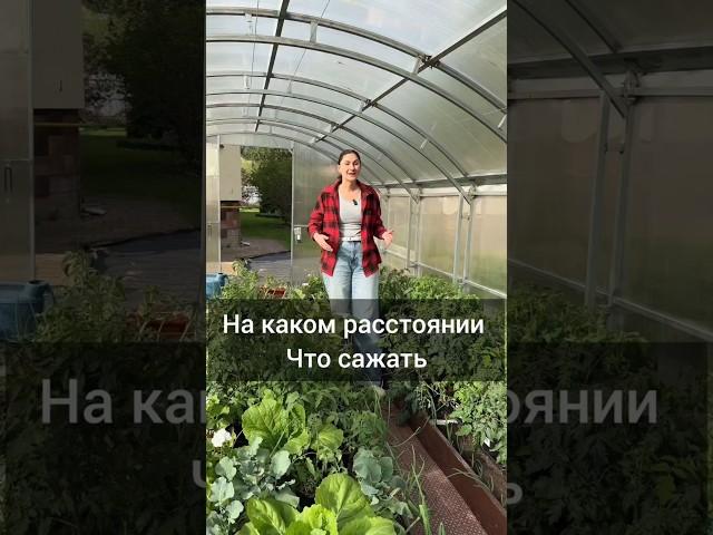 На каком расстоянии,  что высаживаем #садоводничество #дача #огород #сад #дачныйсезон  #garden