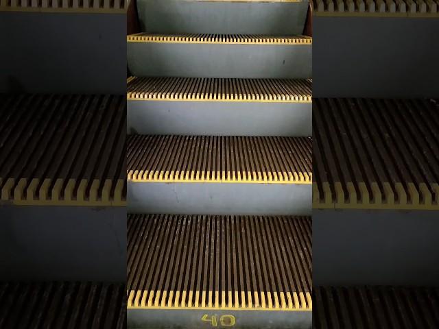 Беляево - эскалатор