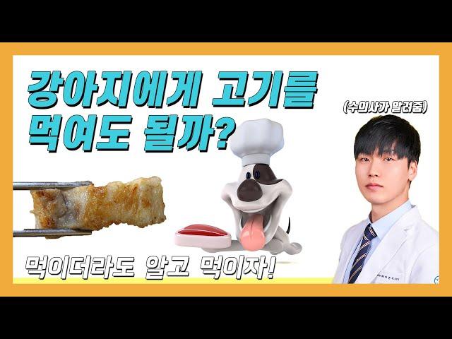 반려견에게 고기를 먹여도 될까요?