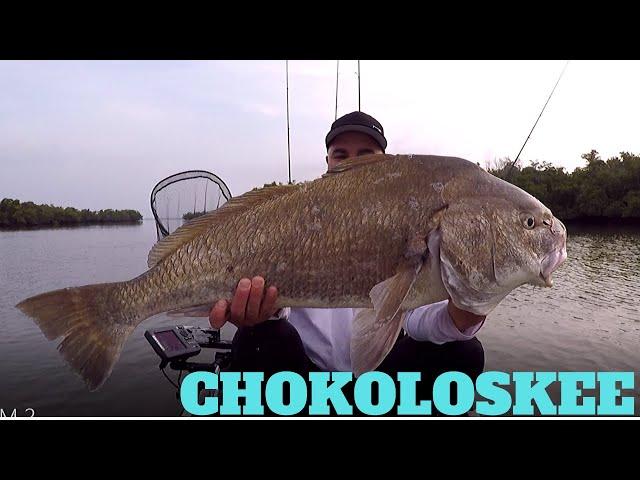 CHOKOLOSKEE ISLAND PARK & MARINA, FISHING!