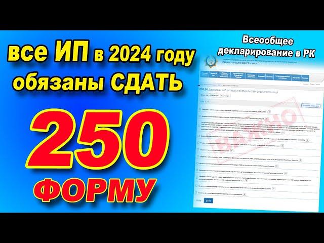 ИНСТРУКЦИЯ как ПРАВИЛЬНО сдать 250 форму для ИП в 2024 году. Всеобщее декларирование в Казахстане