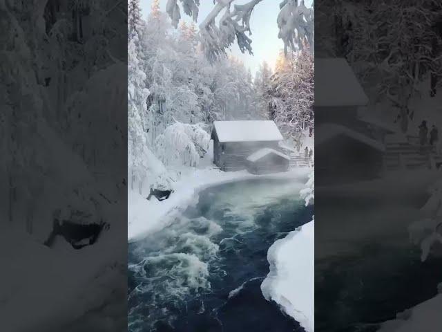 Winter in National Park Oulanka Finland #shorts