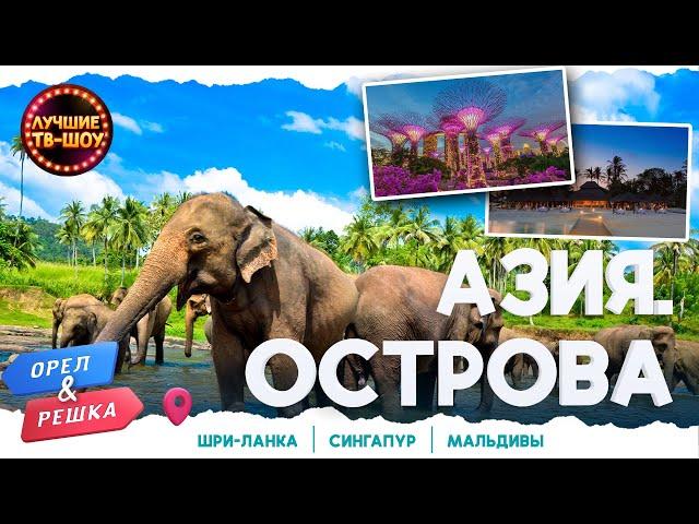 ИЗУМРУДНАЯ, ПРЯНАЯ, ПРАЗДНИЧНАЯ АЗИЯ | ЛУЧШИЕ ВЫПУСКИ ОРЕЛ И РЕШКА | ЛУЧШИЕ ТВ-ШОУ