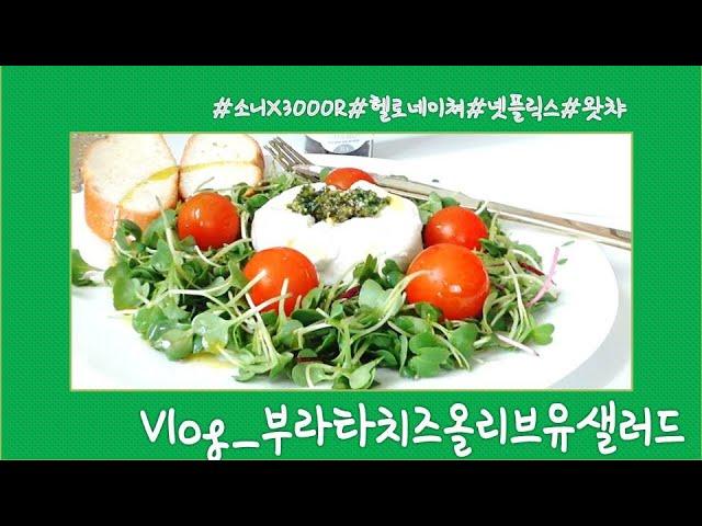 [vlog]세상에는건강한 밥과 덜 건강한 밥이 있다#헬로네이쳐#소니x3000#넷플릭스#왓챠