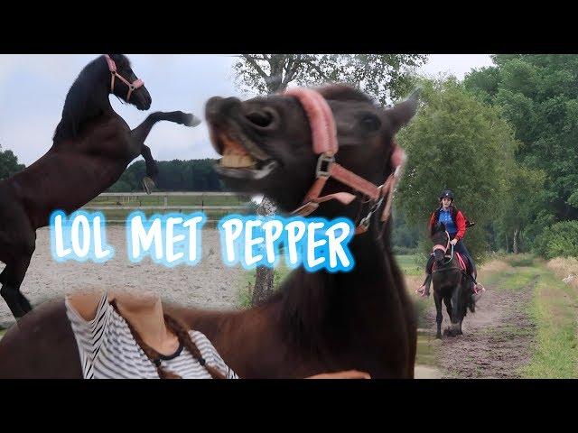 Vrijheidsdressuur met Pepper+ Neckrope rijden in het bos!