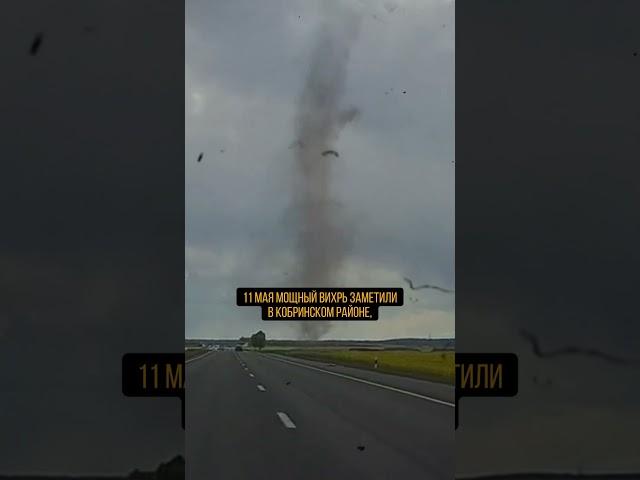 Вихри в Беларуси