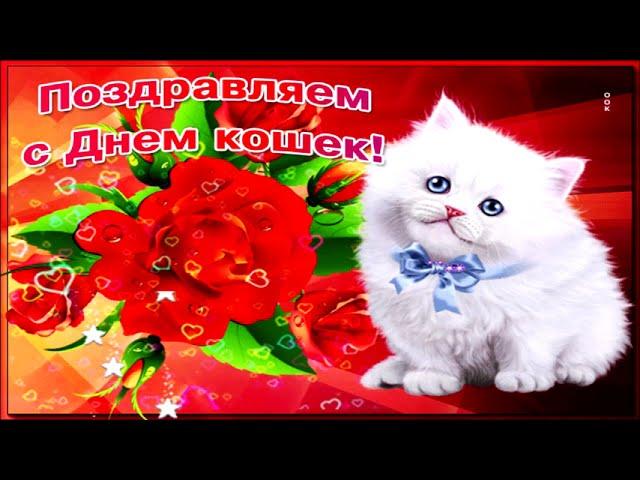 С Днем кошек, кошечек, котов!