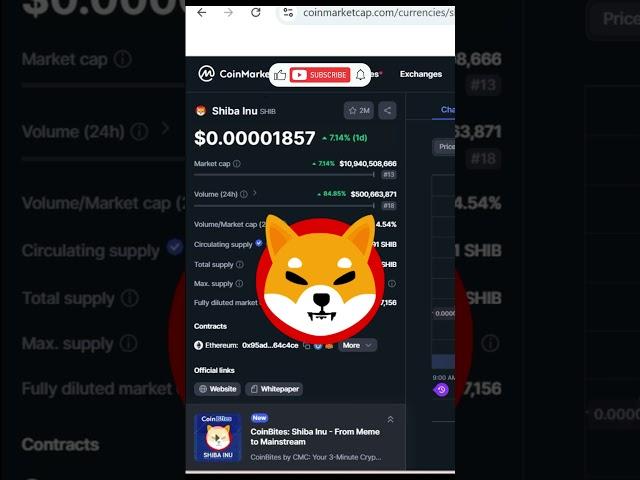 Shiba Inu News | A Detailed Examination of Addresses with 100 Billion to 10 Trillion SHIB