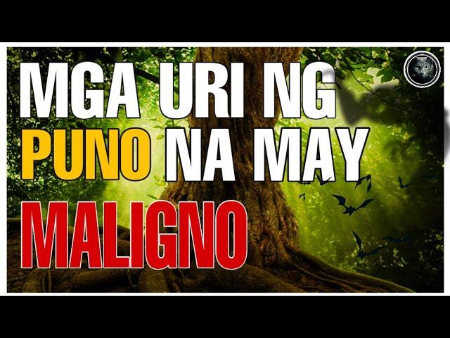 6 NA URI NG PUNO NA PINAMAMAHAYAN NG MALIGNO O ENGKANTO | Bhes Tv