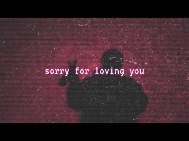 Sorry for Loving You (Remix)