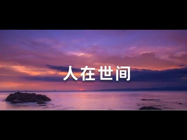 人在世间 #南无阿弥陀佛 #宗翼法师