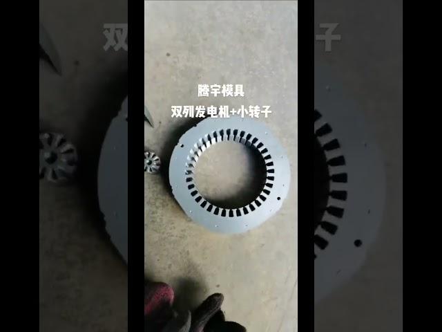 double row stator rotor core die for alternator motor core