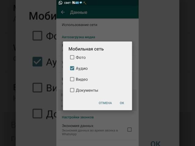 Как убрать автозагрузку фото и видео WhatsApp, что бы не засорят память телефона