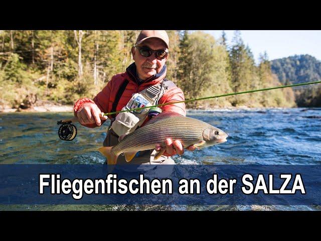 Fliegenfischen auf Äschen an der steirischen Salza - 50+ ÄSCHE! Marcel Roncari mit Rudi Heger