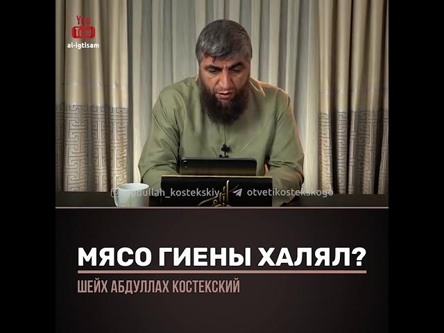 мясо гиены халяль?