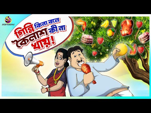 GINNI KI NA BOLE KOILAS KI NA KHAY | ssoftoons new cartoon in bangla | cartoon video