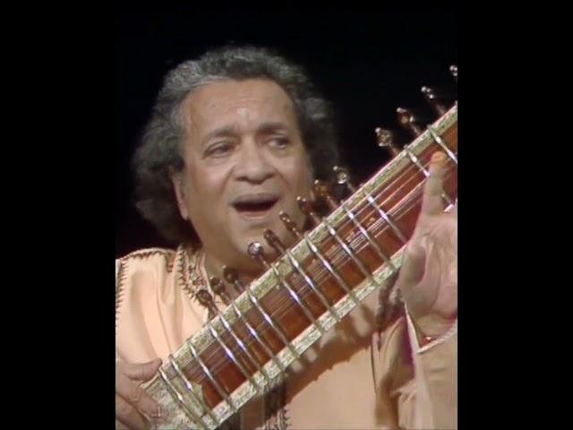 Pt. Ravi Shankar Ji  #sitar #icmtabla #bbc #indianclassicalmusic #shorts #viral