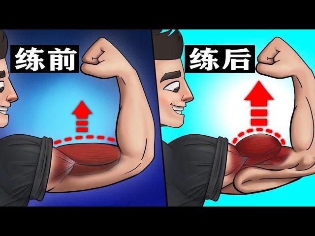 二头肌训练技术，专治训练没感觉，适合新手小白丨 Biceps Training Technique