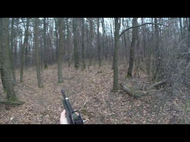 Polowanie na dziki ,Wildschweinjagd,Wild Boar Hunting, Sauer 303 Synchro XT