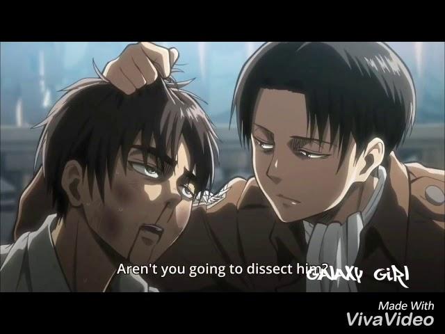 Levi || We don't have to Dance (MEP Part 3)