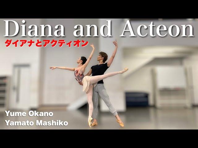 【本気バレエ #13】ダイアナとアクティオンよりアダジオ＆コーダ| Diana and Acteon Pas de deux and Coda