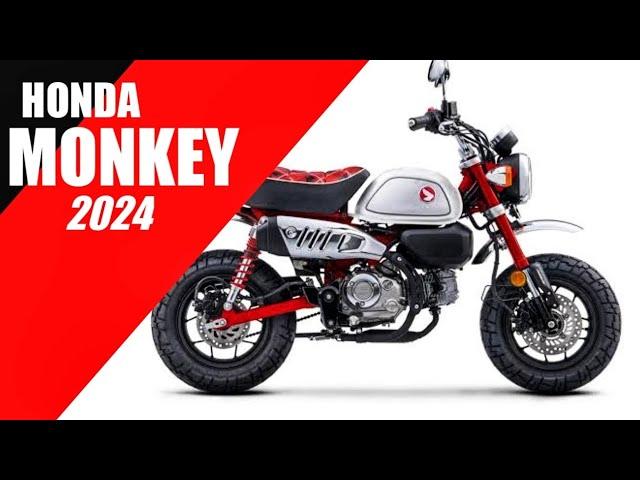 All NEW Honda Monkey 125, 2024