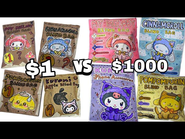 $1 vs $100 Sanrio Blind Bag Compilation | ASMR DIY Paper Squishy