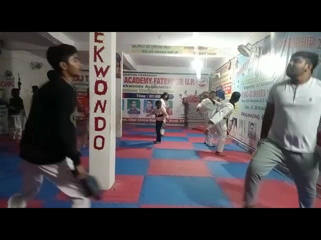 Taekwondo Practice by-Shashank and Sarthak