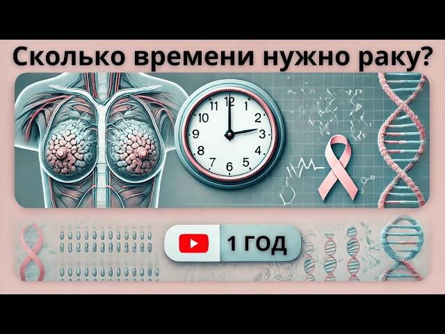 Как быстро развивается рак? | Рак груди за 1 год: правда или миф?