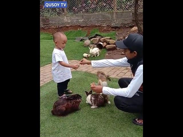 Abang Alwi Ngasih Makan kelinci