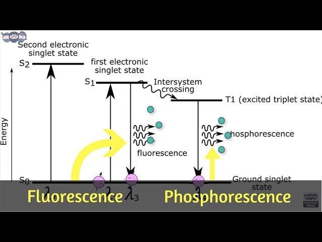 Basics and principle of Fluorescence & Phosphorescence measurement | Learn under 5 min | AI 06